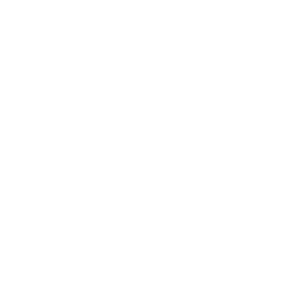 Flughafentransfer Taxi Altbach